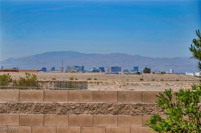 12720 Davis Wright Ct, Henderson, NV 89044 - photo 46