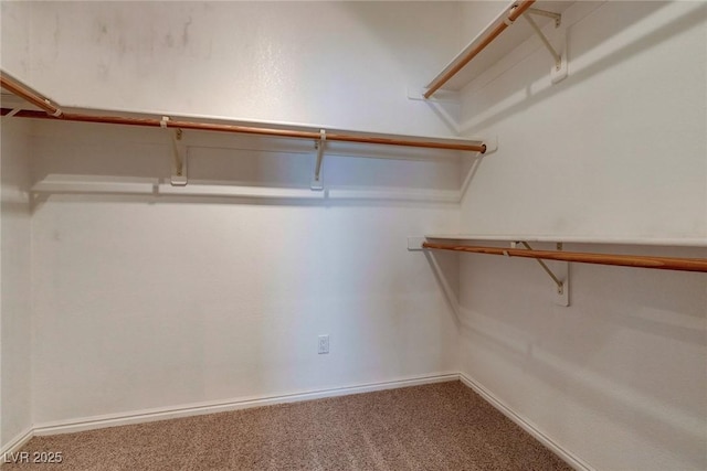 3684 Mooncrest Cir, Las Vegas, NV 89129 - walk in closet with carpet