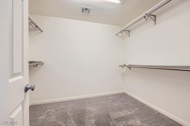 walk in closet featuring carpet