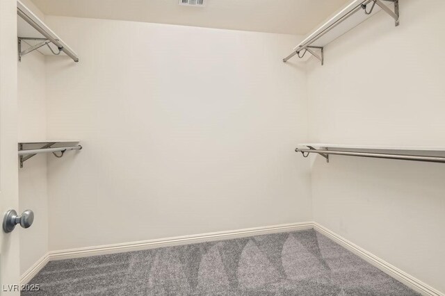 2862 Starling Summit St, Henderson, NV 89044 - spacious closet with carpet flooring