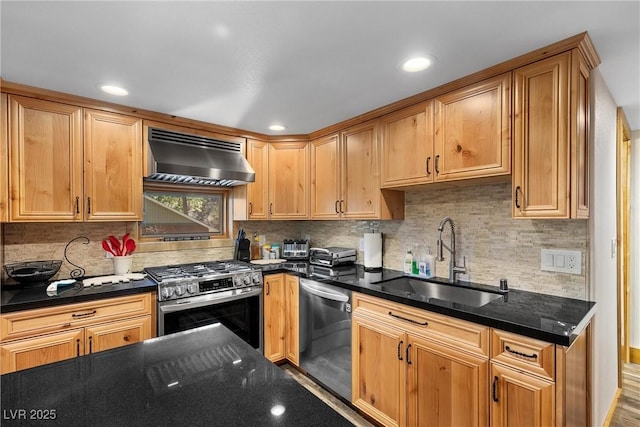 kitchen featuring exhaust hood, appliances with stainless steel finishes, decorative backsplash, and a sink