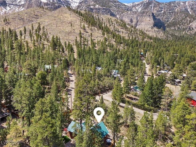 birds eye view of property with a mountain view and a forest view