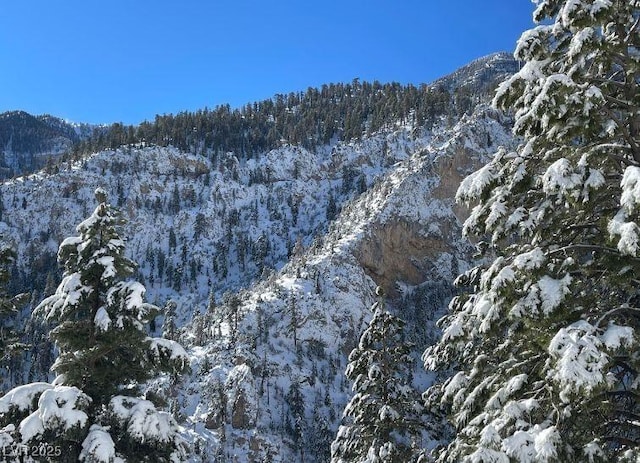 property view of mountains featuring a view of trees