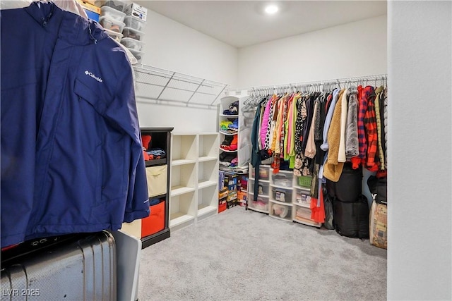spacious closet with carpet flooring