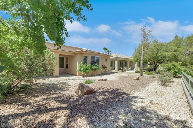 rear view of property with a patio and stucco siding