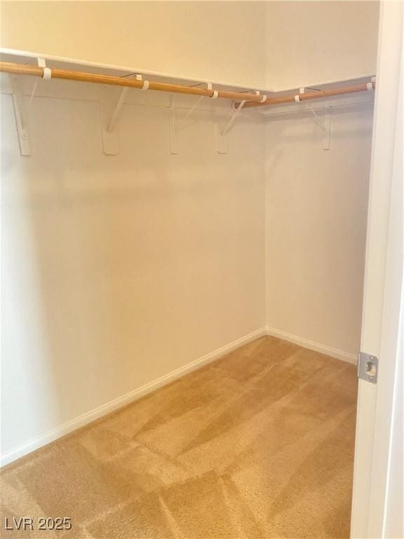 10349 Mystic Pine Rd, Las Vegas, NV 89135 - walk in closet with light carpet