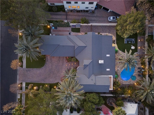 bird's eye view