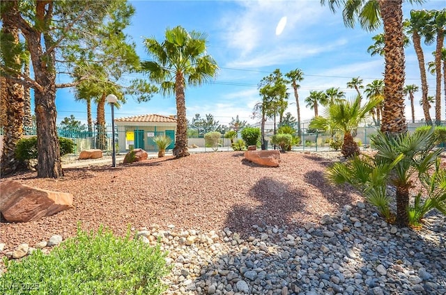 1000 Grammy Dr, Las Vegas, NV 89145 - view of yard