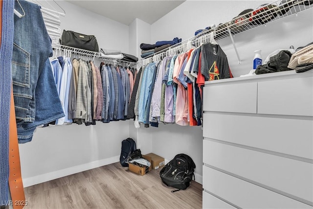 walk in closet featuring wood finished floors