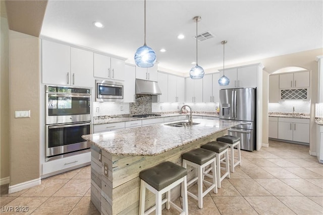 12254 Cape Cortez Ct, Las Vegas, NV 89138 - kitchen featuring tasteful backsplash, stainless steel appliances, under cabinet range hood, and a sink