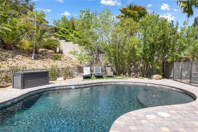 12254 Cape Cortez Ct, Las Vegas, NV 89138 - view of pool featuring fence and a fenced in pool