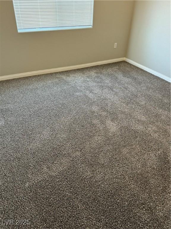 spare room with plenty of natural light, baseboards, and carpet floors