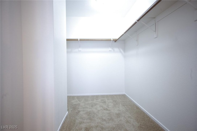 3652 Remington Grove Ave, North Las Vegas, NV 89081 - walk in closet featuring carpet floors