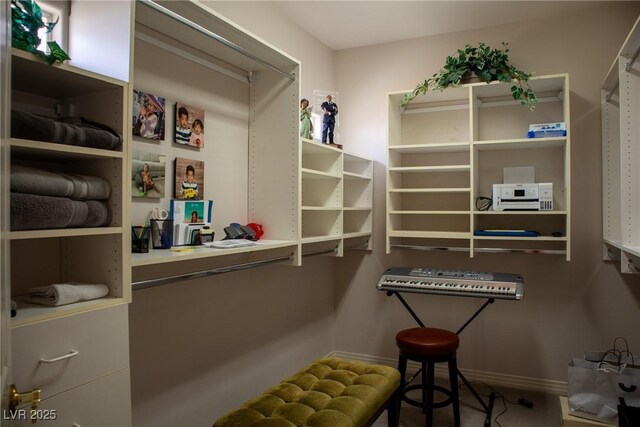 9905 Fox Springs Dr, Las Vegas, NV 89117 - view of spacious closet