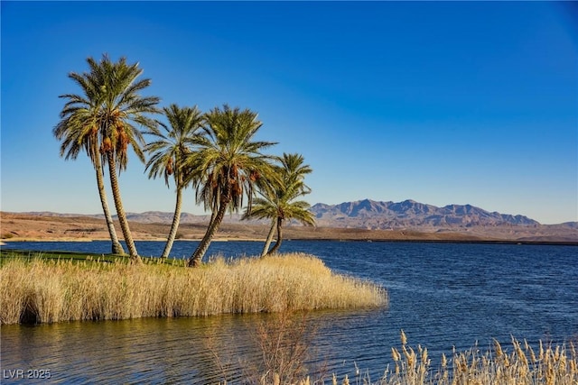 property view of water featuring a mountain view