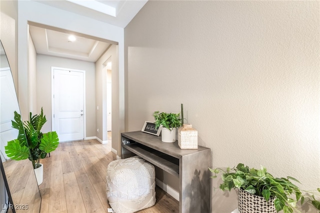 doorway to outside featuring a raised ceiling, hardwood / wood-style flooring, and baseboards