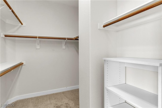 10613 Turquoise Valley Dr, Las Vegas, NV 89144 - spacious closet with carpet