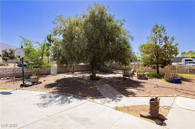 997 N Christy Ln, Las Vegas, NV 89110 - view of yard