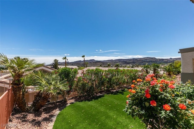 view of yard with a mountain view and a fenced backyard