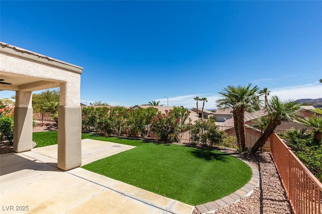 view of yard featuring a patio and a fenced backyard