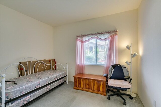 bedroom featuring carpet flooring