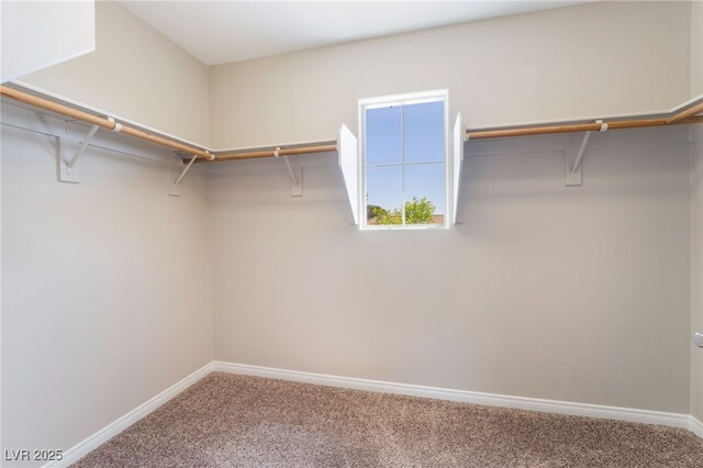 spacious closet with carpet floors