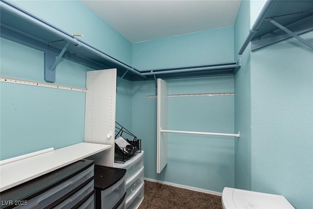 2631 Bed Knoll Ct, North Las Vegas, NV 89031 - walk in closet featuring dark colored carpet