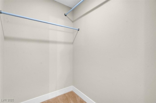 walk in closet with light colored carpet