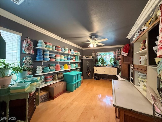 2986 Matese Dr, Henderson, NV 89052 - storage with ceiling fan
