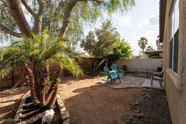 view of yard featuring a fenced backyard and a patio area