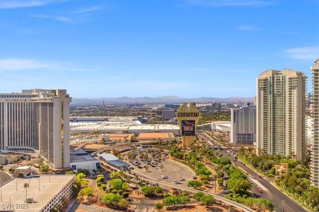 city view with a mountain view