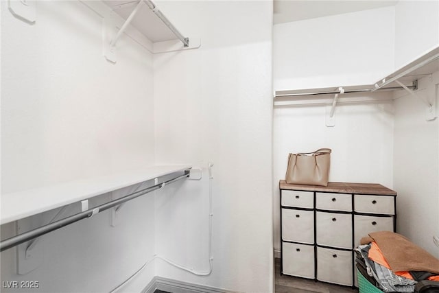 spacious closet with wood finished floors