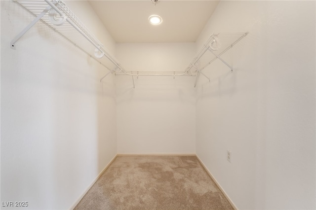 711 Sari Dr, Las Vegas, NV 89110 - spacious closet with carpet flooring