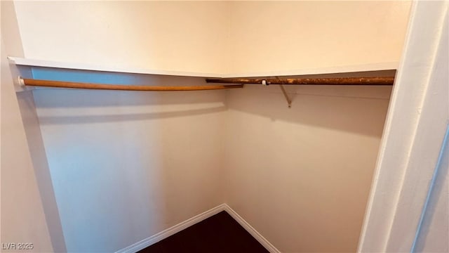 201 Redstone St, Las Vegas, NV 89145 - view of walk in closet