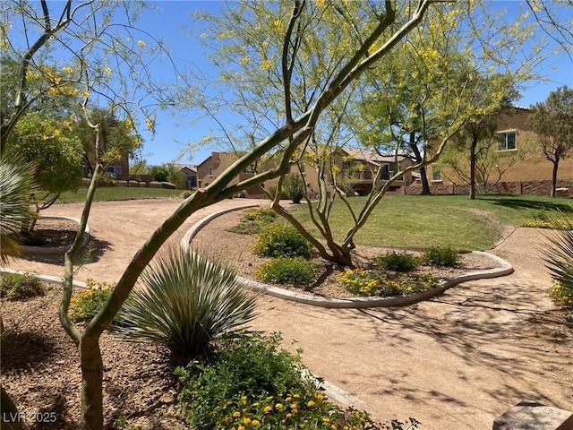 view of property's community with a lawn