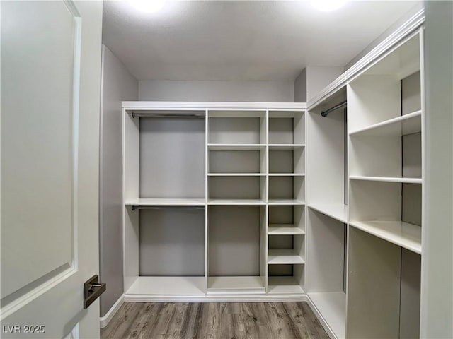 walk in closet featuring wood finished floors