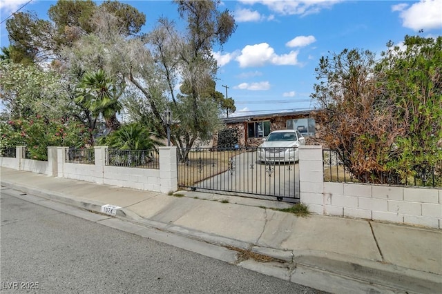 view of front of property with a gate and a fenced front yard
