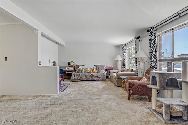 view of carpeted living room
