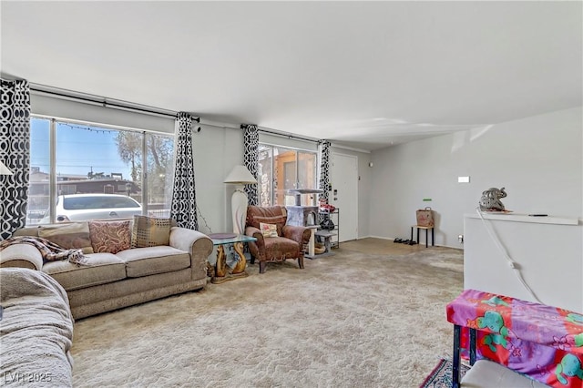 living area with carpet floors