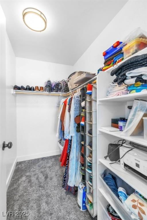 spacious closet featuring carpet