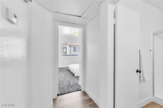 hall with wood finished floors, baseboards, and a drop ceiling