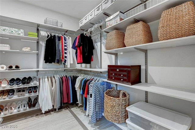 view of walk in closet