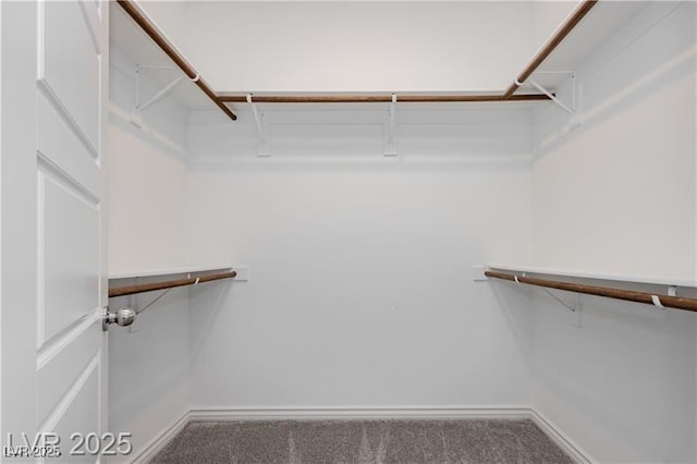 walk in closet with carpet