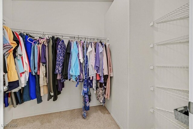 1991 High Mesa Dr, Henderson, NV 89012 - spacious closet with carpet flooring