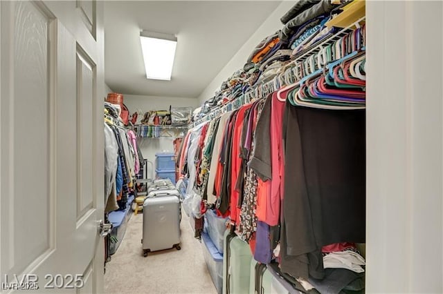 spacious closet with carpet flooring