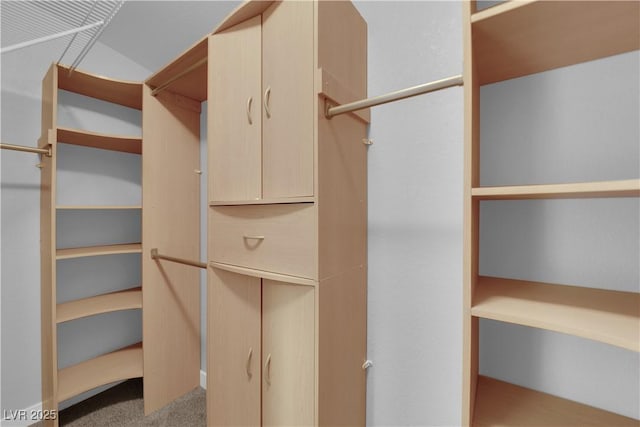 204 Appian Way, Henderson, NV 89002 - walk in closet with carpet