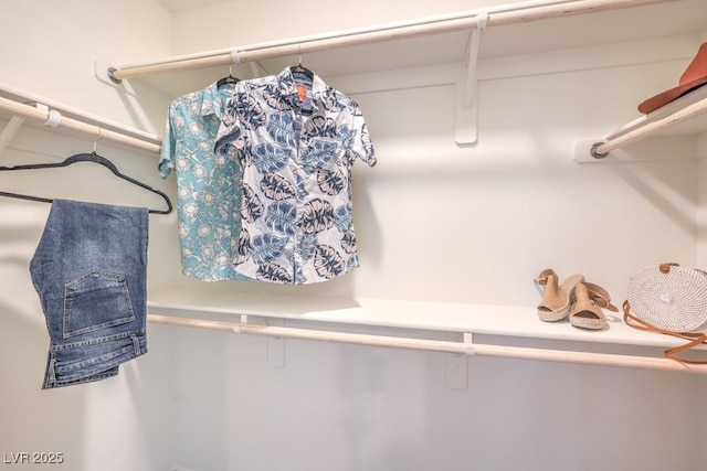 view of walk in closet