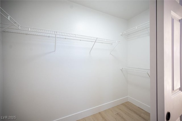 walk in closet with light wood-style flooring