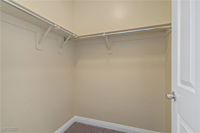 spacious closet with carpet