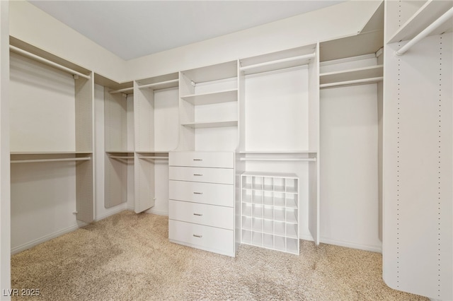 4217 Box Canyon Falls Ave, North Las Vegas, NV 89085 - spacious closet with light carpet